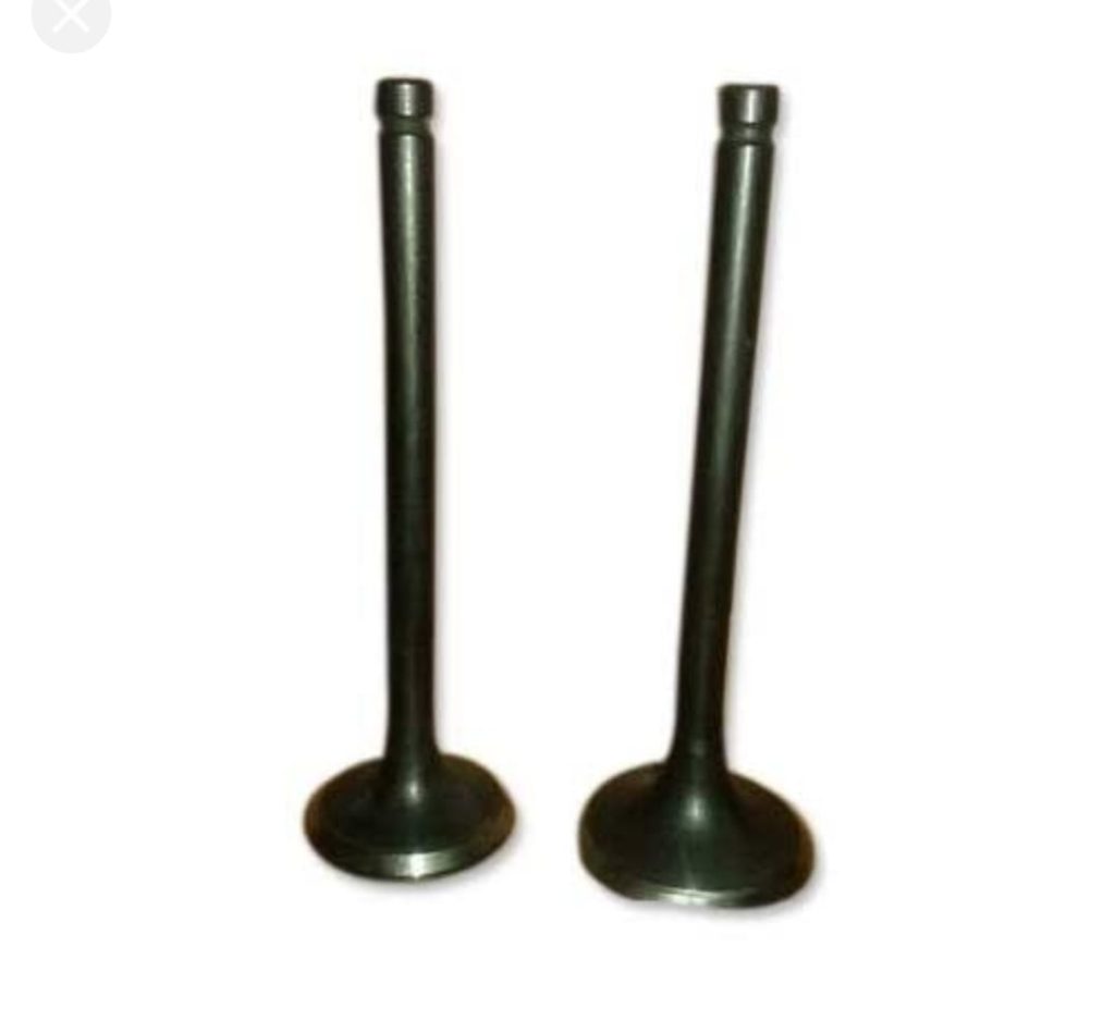 Inlet and Exhaust Valves